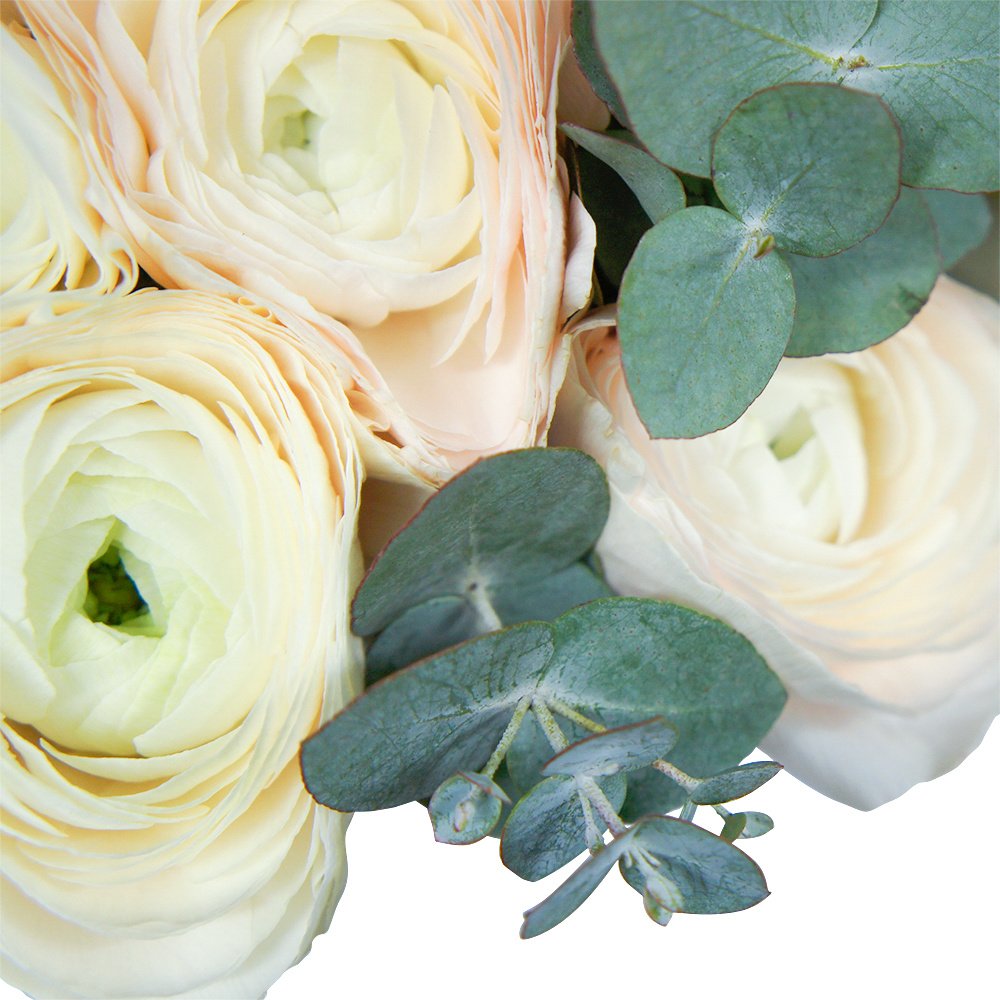 Ранункулюсы в шляпной коробке