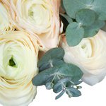 Ранункулюсы Клуни Ханой с эвкалиптом в шляпной коробке в Санкт-Петербурге  - Фотография 2