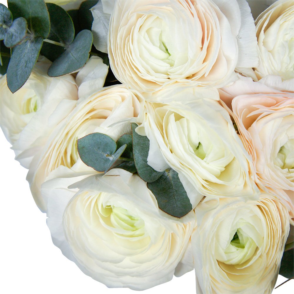 Ранункулюсы в шляпной коробке