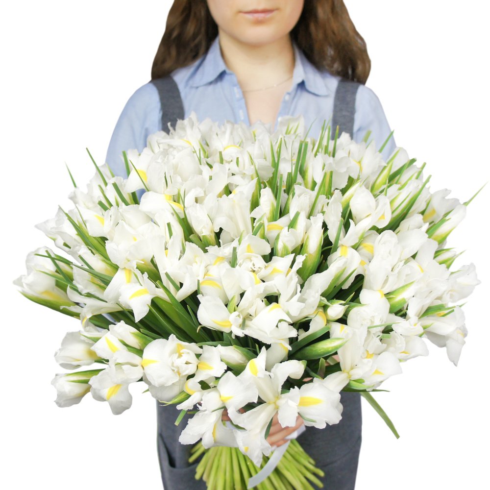 Букет из 101 белого ириса в Санкт-Петербурге