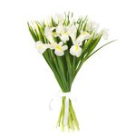 Букет из 25 белых ирисов в Санкт-Петербурге - Фотография 2