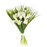 Букет из 25 белых ирисов в Санкт-Петербурге - Фотография 3