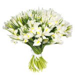Букет из 51 белого ириса в Санкт-Петербурге - Фотография 4