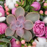 Уютная композиция в кашпо ручной работы розового цвета с сердечком в Санкт-Петербурге  - Фотография 3 Уютная композиция в кашпо ручной работы розового цвета с сердечком в Санкт-Петербурге  - Фотография 3