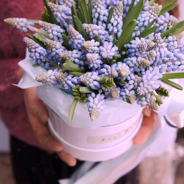 Мускари в шляпной коробке