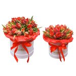 Шляпные коробки с красными пионовидными тюльпанами в Санкт-Петербурге - Фотография 1