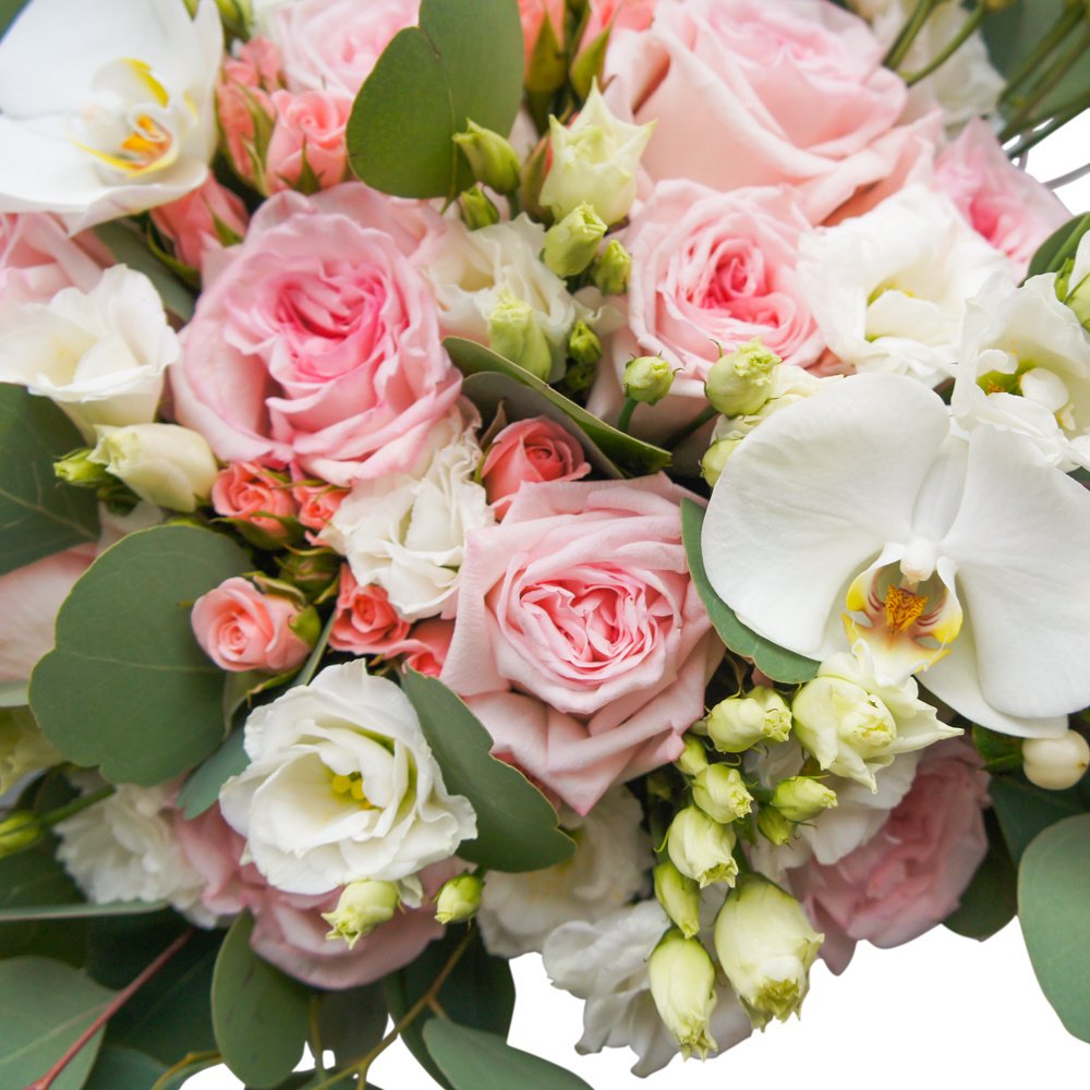 Между небом и землёй