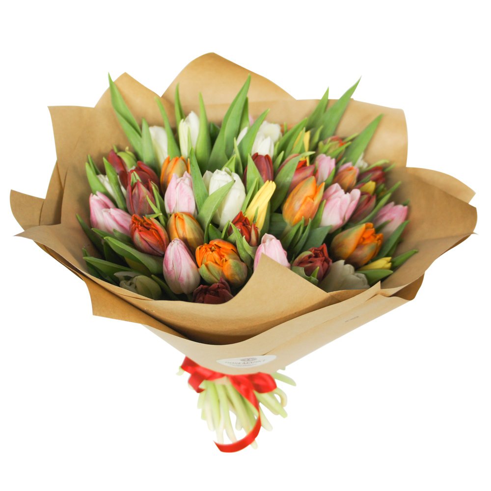 51 разноцветный тюльпан