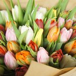 Букет из 51 разноцветного тюльпана с доставкой в Санкт-Петербурге - Фотография 3