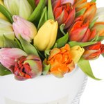 Разноцветные тюльпаны в шляпной коробке в Санкт-Петербурге - Фотография 4