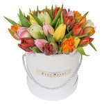 Разноцветные тюльпаны в шляпной коробке в Санкт-Петербурге - Фотография 2