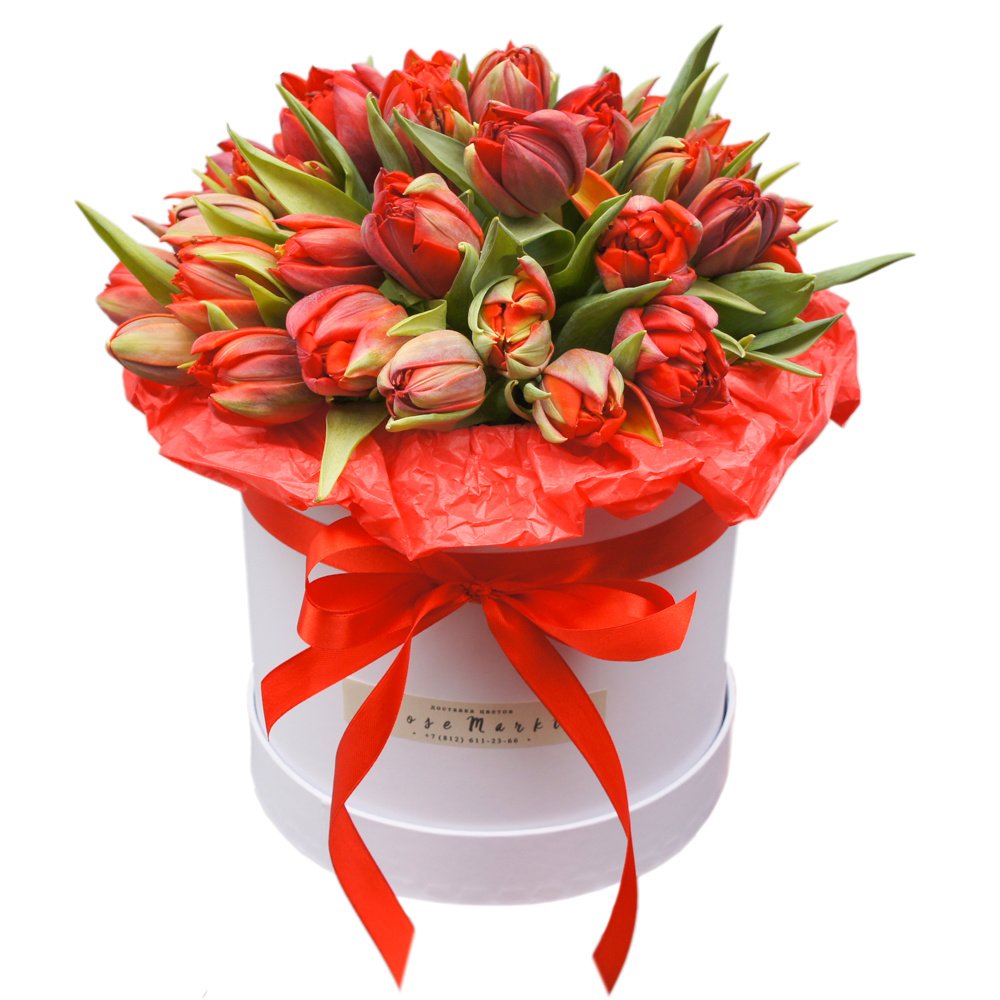 Белла и Эдвард: два букета красных пионовидных тюльпанов в шляпных коробках