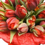 Шляпные коробки с красными пионовидными тюльпанами в Санкт-Петербурге - Фотография 4