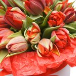 Шляпные коробки с красными пионовидными тюльпанами в Санкт-Петербурге - Фотография 5