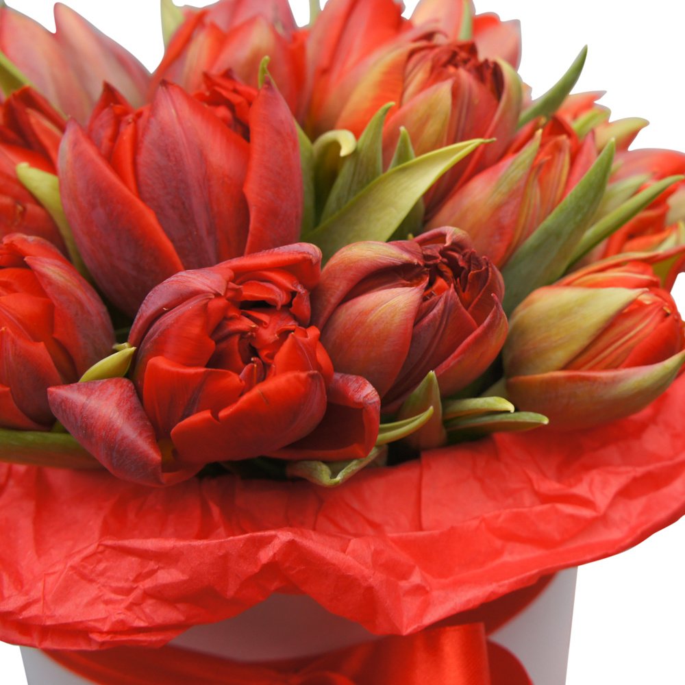 Белла и Эдвард: два букета красных пионовидных тюльпанов в шляпных коробках