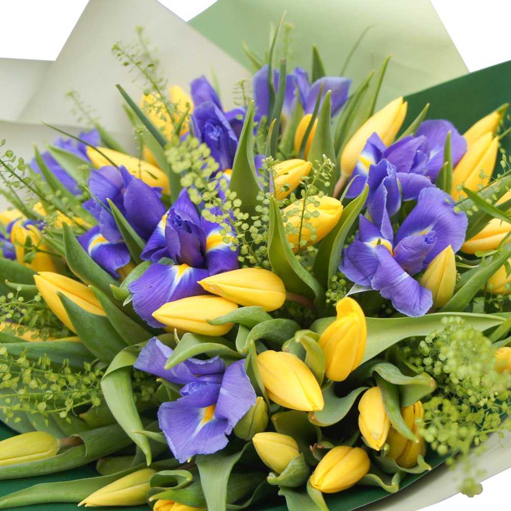 Весна всегда: букет желтых тюльпанов с синими ирисами