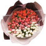 Букет омбрэ из 125 тюльпанов в упаковке в Санкт-Петербурге - Фотография 2