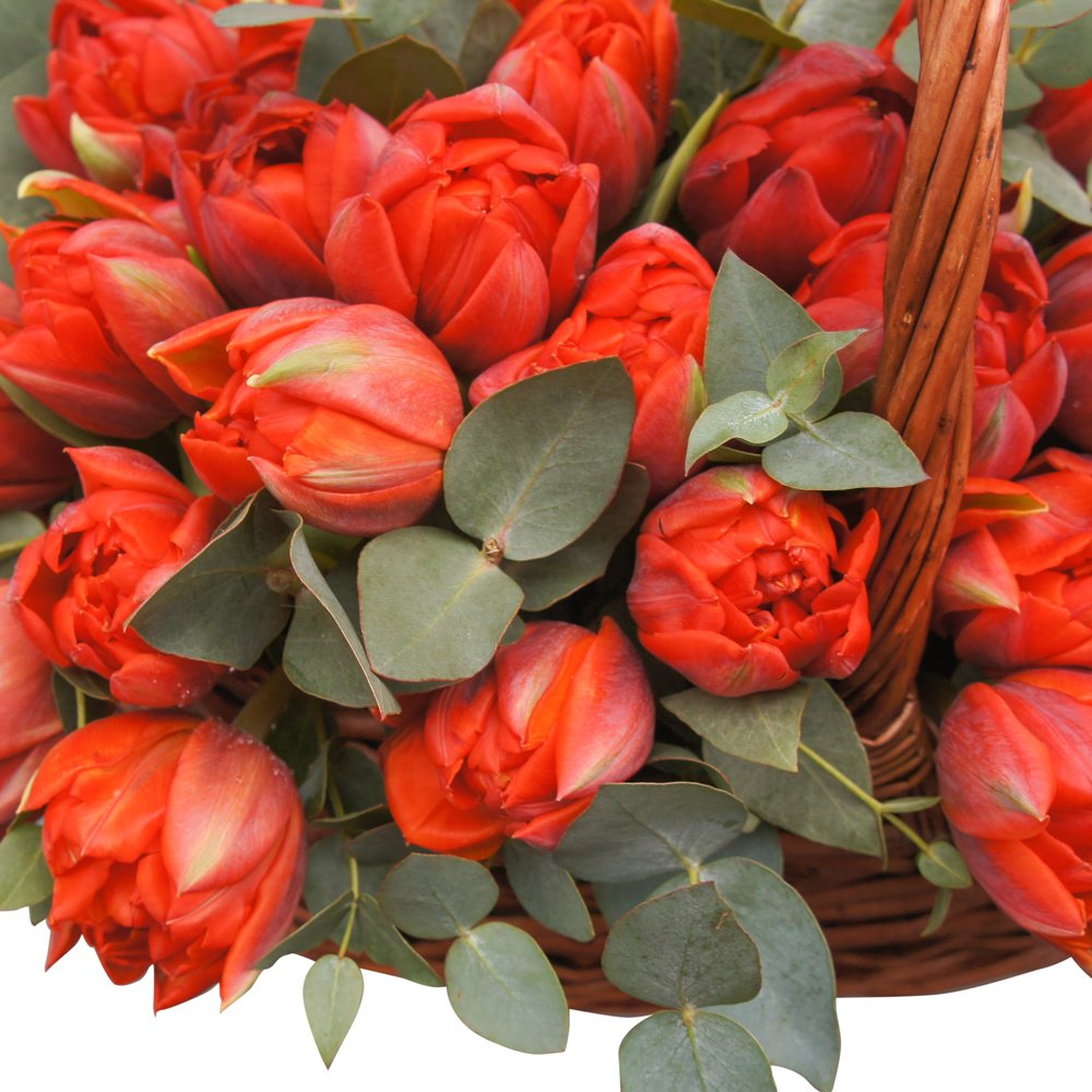 Корзина с красными тюльпанами мини