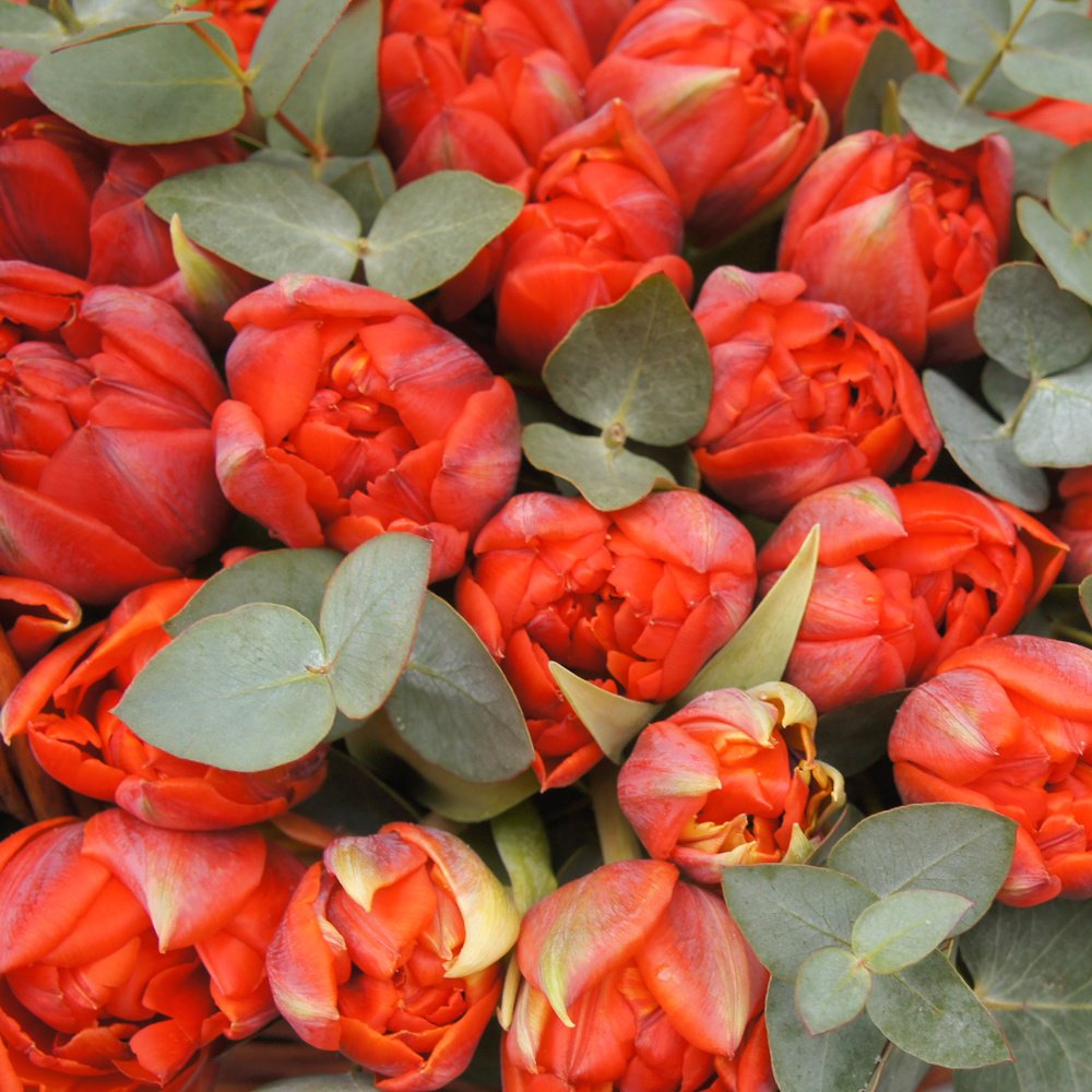 Корзина с красными тюльпанами мини