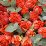 Красные пионовидные тюльпаны с эвкалиптом в корзинке в Санкт-Петербурге - Фотография 4