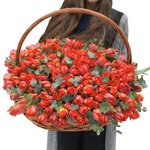 Красные пионовидные тюльпаны с эвкалиптом в корзине в Санкт-Петербурге - Фотография 1