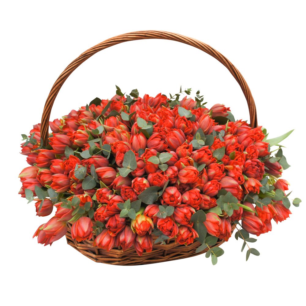 Корзина с красными тюльпанами макси