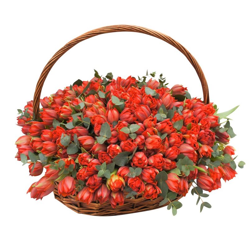 Корзина с красными тюльпанами макси