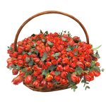 Красные пионовидные тюльпаны с эвкалиптом в корзине в Санкт-Петербурге - Фотография 2