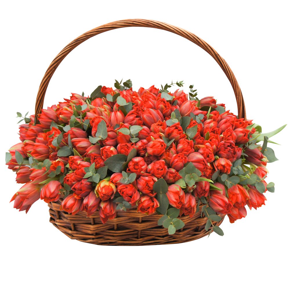 Корзина с красными тюльпанами макси