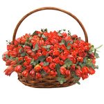 Красные пионовидные тюльпаны с эвкалиптом в корзине в Санкт-Петербурге - Фотография 3