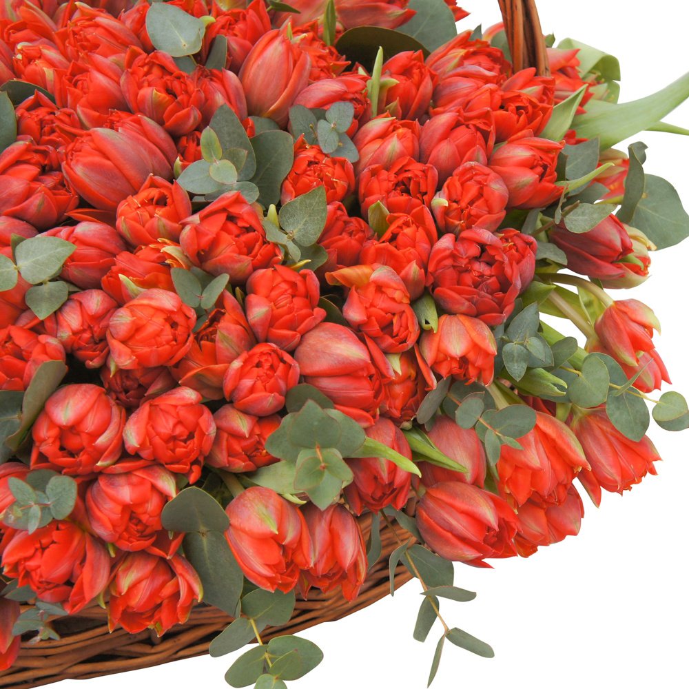 Корзина с красными тюльпанами макси
