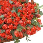 Красные пионовидные тюльпаны с эвкалиптом в корзине в Санкт-Петербурге - Фотография 5