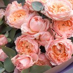 Пионовидные кустовые розы Джульетта с эвкалиптом в упаковке в Санкт-Петербурге - Фотография 3