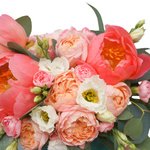 Коралловые пионы, кустовая пионовидная роза Джульетта, лизиантус и гвоздика в бархатной шляпной коробке в Санкт-Петербурге - Фотография 3