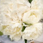 Букет из белой гортензии и белых пионов в упаковке в Санкт-Петербурге - Фотография 4