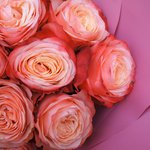 Розы Кахала в Санкт-Петербурге - Фотография 8