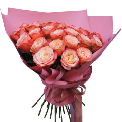 Букет 25 роз Кахала в упаковке