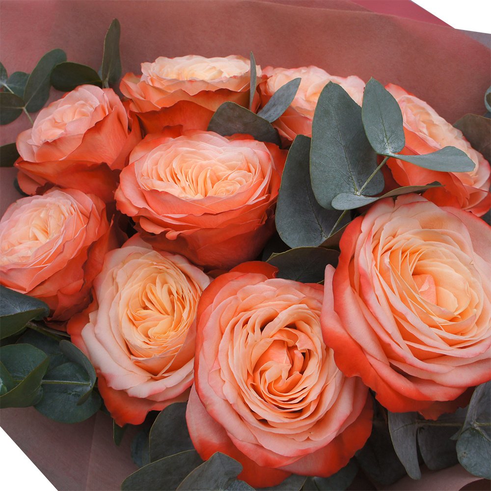 Танец: 9 роз Кахала и ароматный эвкалипт + аквабокс и коробка-переноска