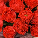 Букет 19 роз Рэд Ай в Санкт-Петербурге - Фотография 6