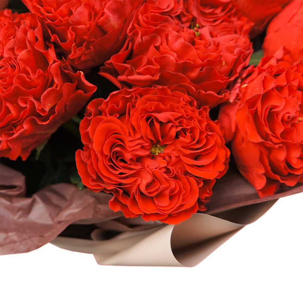 Аргентинское Танго: 19 роз Рэд Ай в упаковке + аквабокс и коробка-переноска