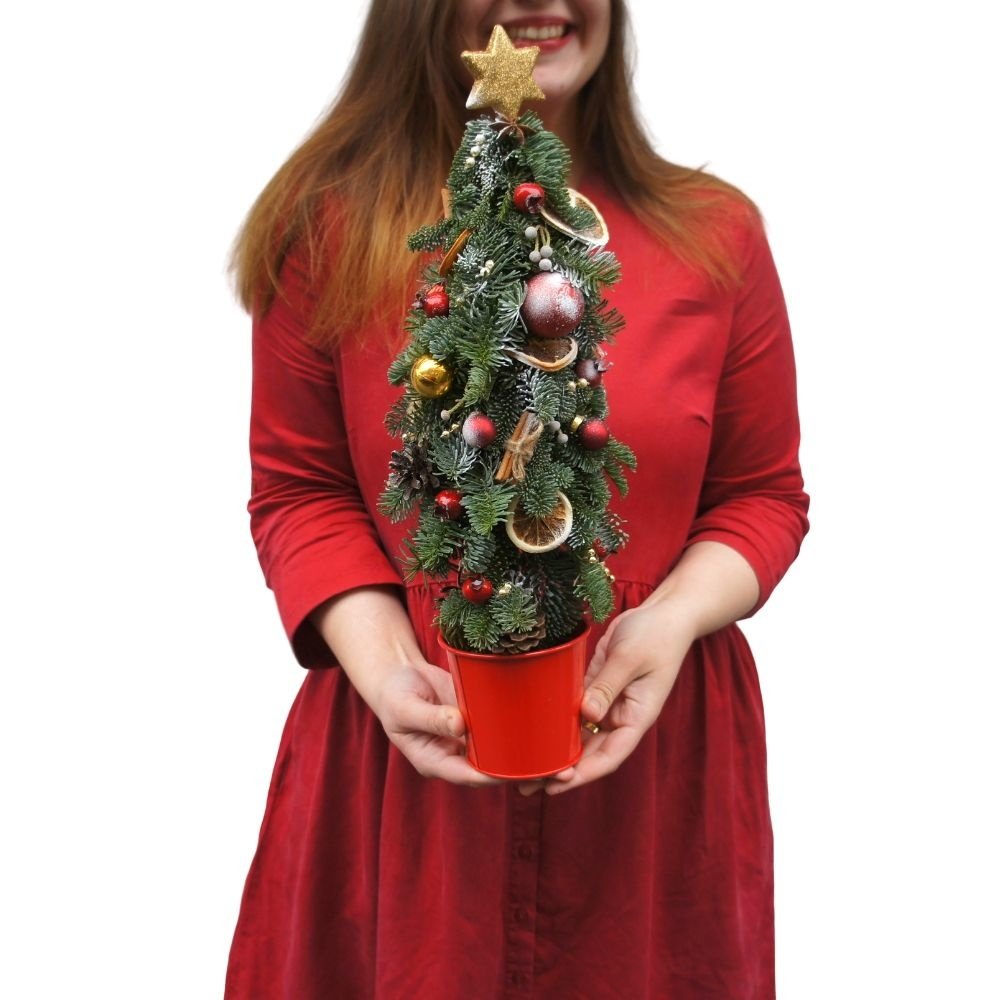 Ёлочка с украшениями в Санкт-Петербурге