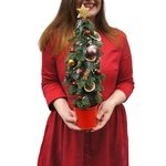 Ёлочка с украшениями в Санкт-Петербурге - Фотография 1