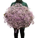 Флаффи сиреневый: большой букет из гипсофилы в Санкт-Петербурге: купить ...