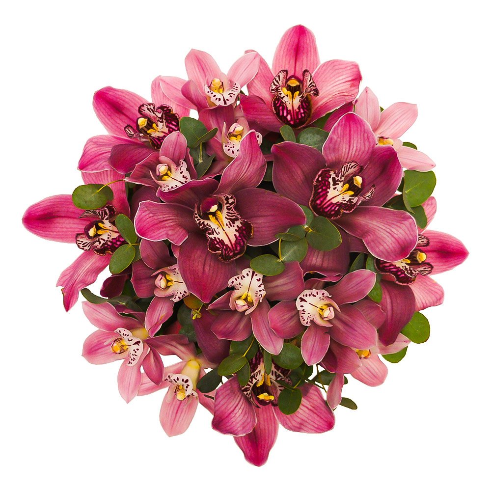 Эль Вудс: 17 розовых орхидей в шляпной коробке