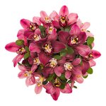 Шляпная коробка с розовыми орхидеями в Санкт-Петербурге - Фотография 2