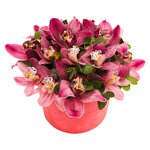 Шляпная коробка с розовыми орхидеями в Санкт-Петербурге - Фотография 1