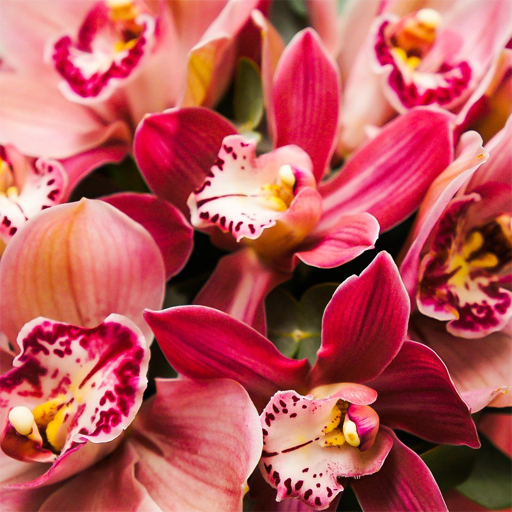 Эль Вудс: 17 розовых орхидей в шляпной коробке