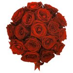 Розы в коробке: 17 алых роз в Санкт-Петербурге - Фотография 2