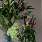 Набор цветов для интерьера дома и офиса в Санкт-Петербурге - Фотография 6