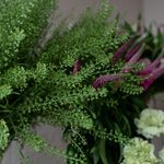 Набор цветов для интерьера дома и офиса в Санкт-Петербурге - Фотография 8